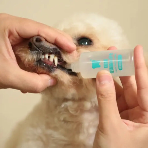 Taurus Gentle Liquid Gel Type Pet Toothpaste Vanilla Flavor 0.85 oz