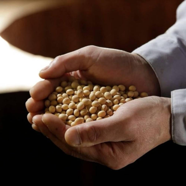 Teraoka Shoyu Certified Organic Barrel Aged Soy Sauce 150ml