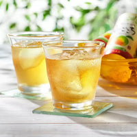 Tokiwa Ume Flavored Japanese Drinking Vinegar Premix Drink 125ml