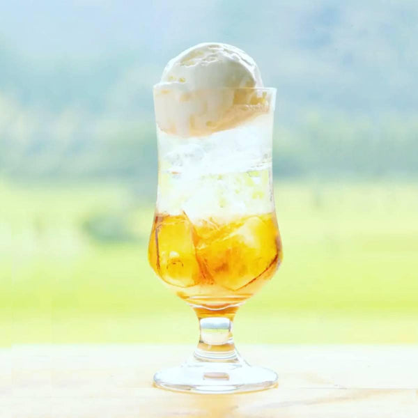 Tokiwa Ume Flavored Japanese Drinking Vinegar Premix Drink 125ml