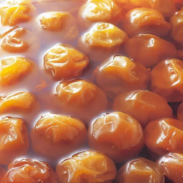 Tokiwa Ume Flavored Japanese Drinking Vinegar Premix Drink 125ml