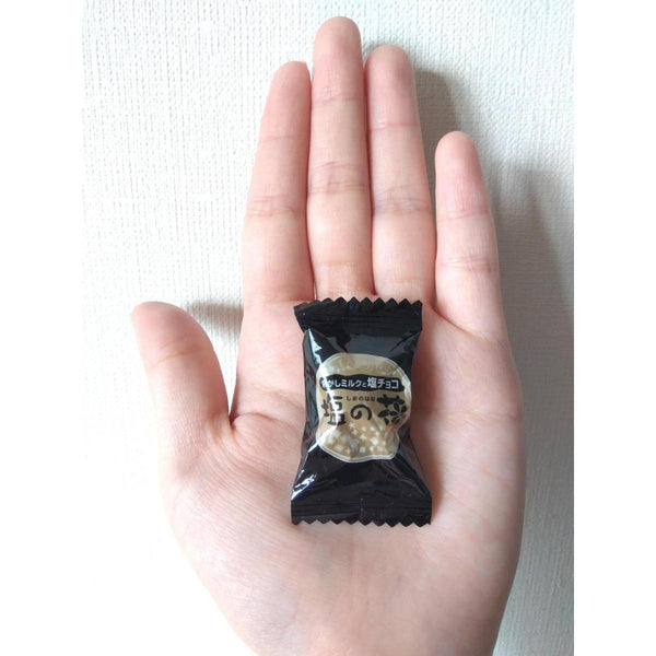 UHA Mikakuto Shio no Hana Chocolate Filled Salt Caramel Candy 78g