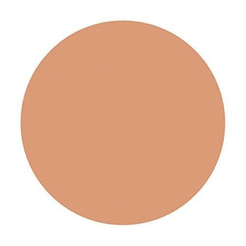 Shiseido Spots Cover Foundation Base Color 20g - S100